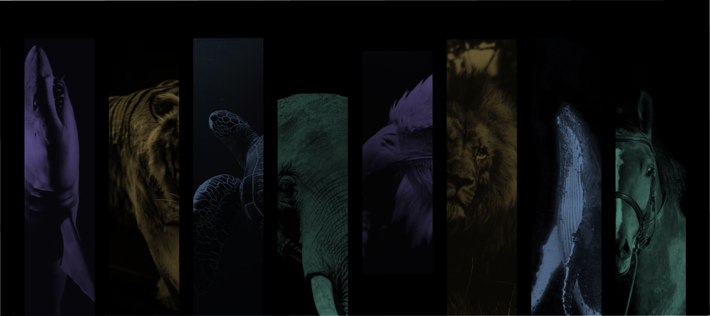 MoneySign animals
