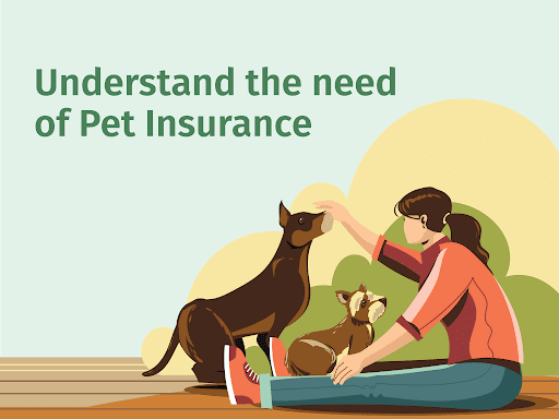 Understanding Pet Insurance: Key Insights for Every Pet Owner