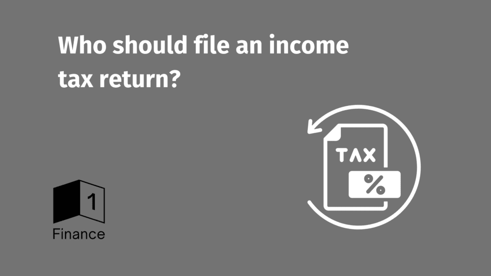 Who should file an income tax return?