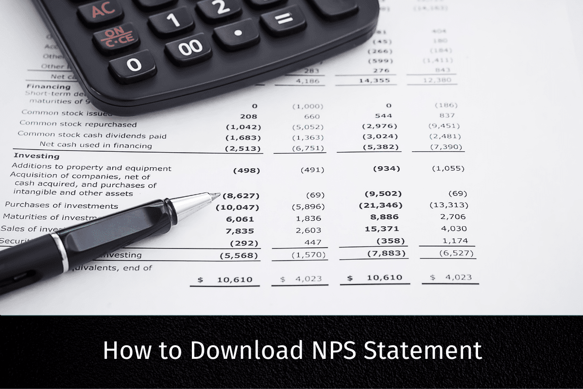 How to Download NPS Statement