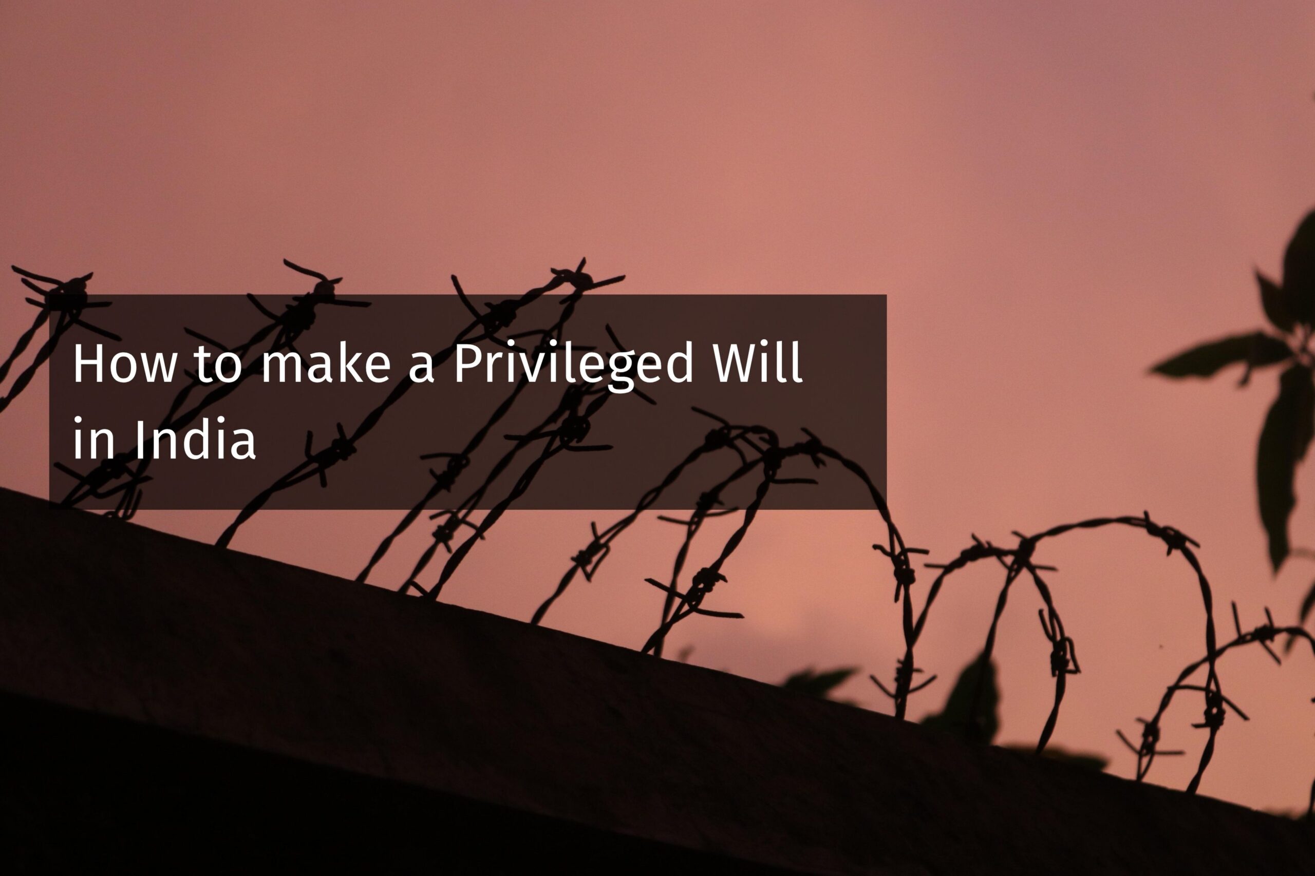 What is a Privileged Will? How to make and execute Privileged Will